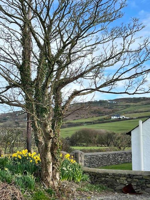 Villa Gors Eilian Amlwch Exterior foto
